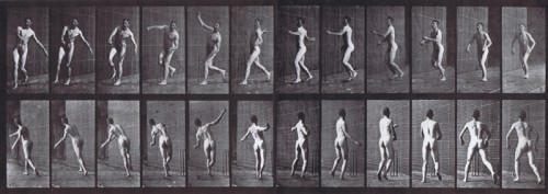 thumb_Plate_290_Nude_Male_Cricket_Overarm_Bowling